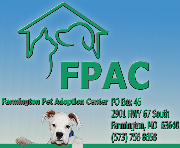 Farmington Pet Adoption Center Farmington Pet Adoption Center
